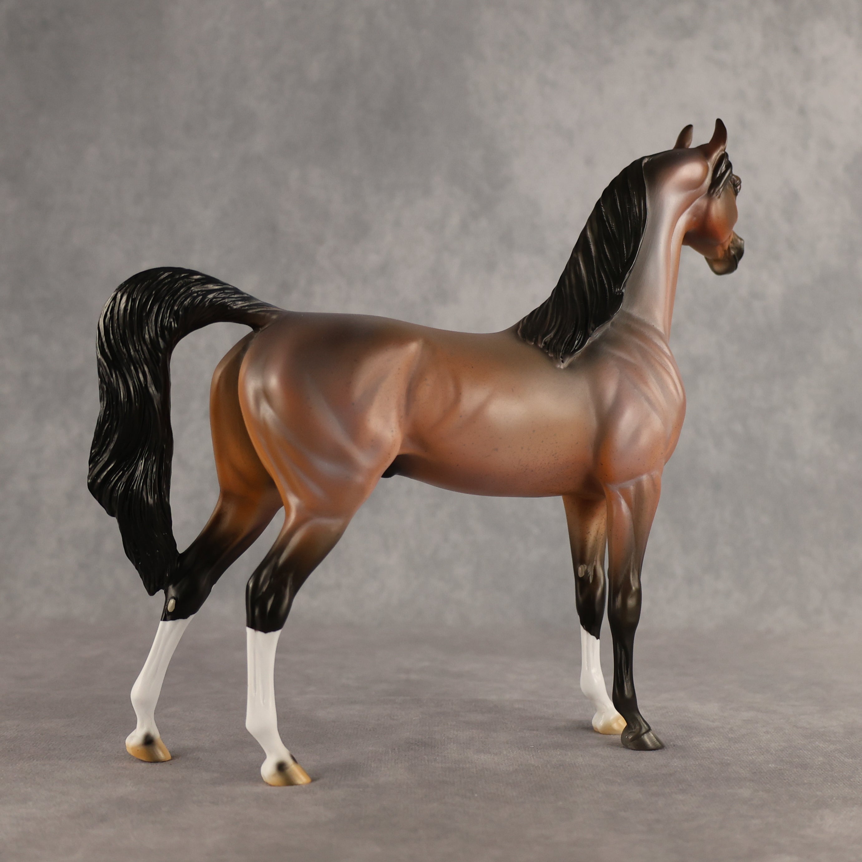 Wrong Guy OOAK Arabian Stallion by Carissa Mathews DDOOAKs26