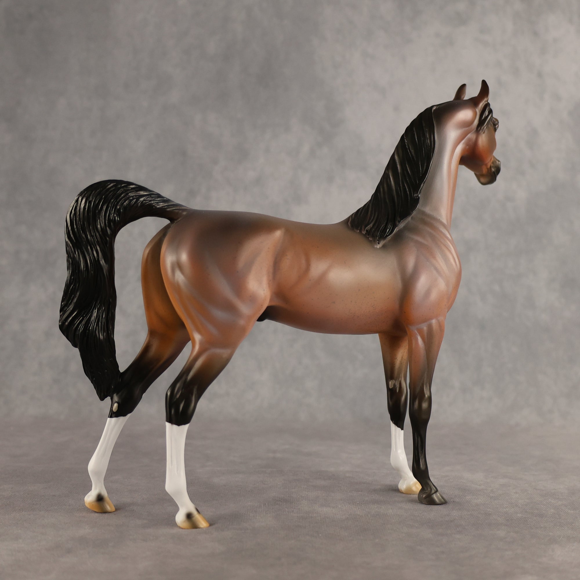 Wrong Guy OOAK Arabian Stallion by Carissa Mathews DDOOAKs26