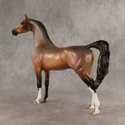 Wrong Guy OOAK Arabian Stallion by Carissa Mathews DDOOAKs26