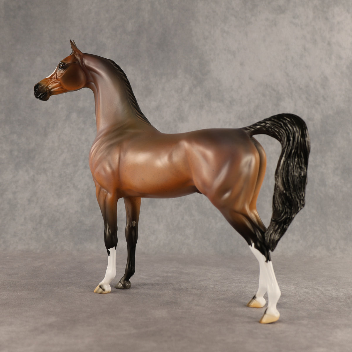 Wrong Guy OOAK Arabian Stallion by Carissa Mathews DDOOAKs26