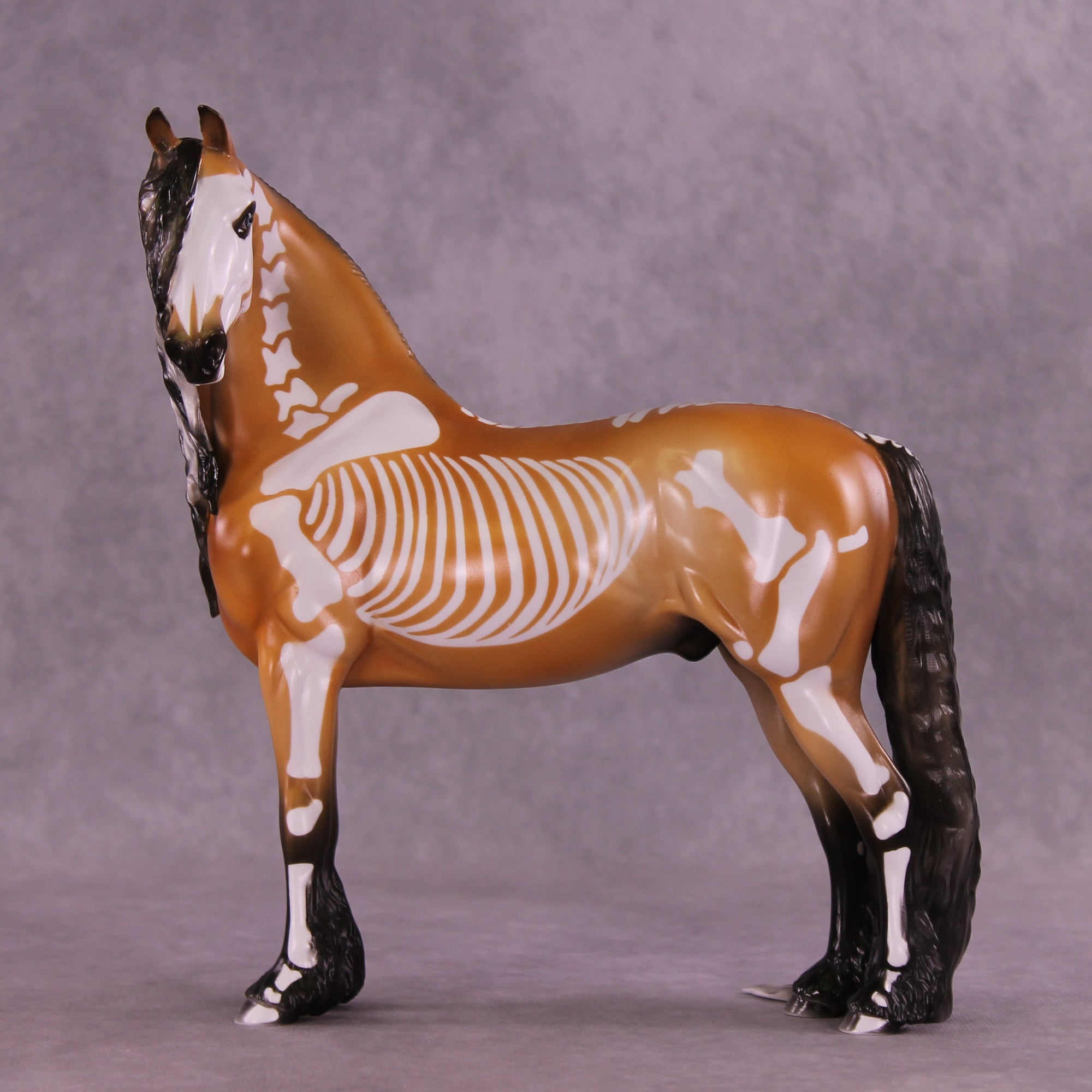 Xanthippi EFCM Morgan by Pernille F. Bøllingtoft Bøjsen 11/25/2025 SS1125