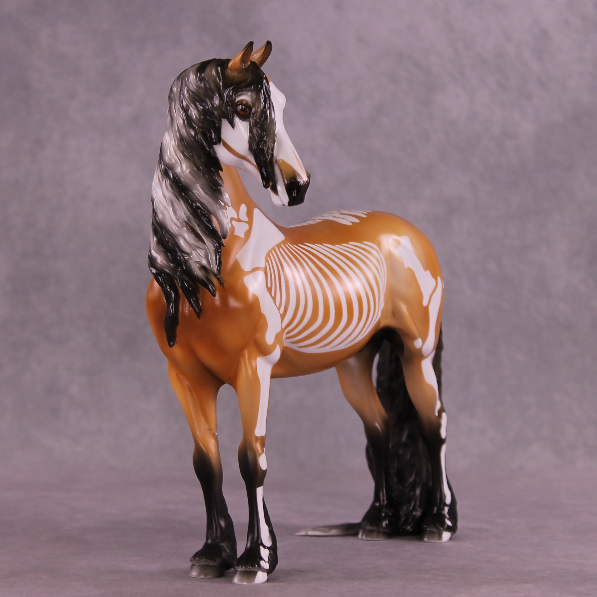 Xanthippi EFCM Morgan by Pernille F. Bøllingtoft Bøjsen 11/25/2025 SS1125