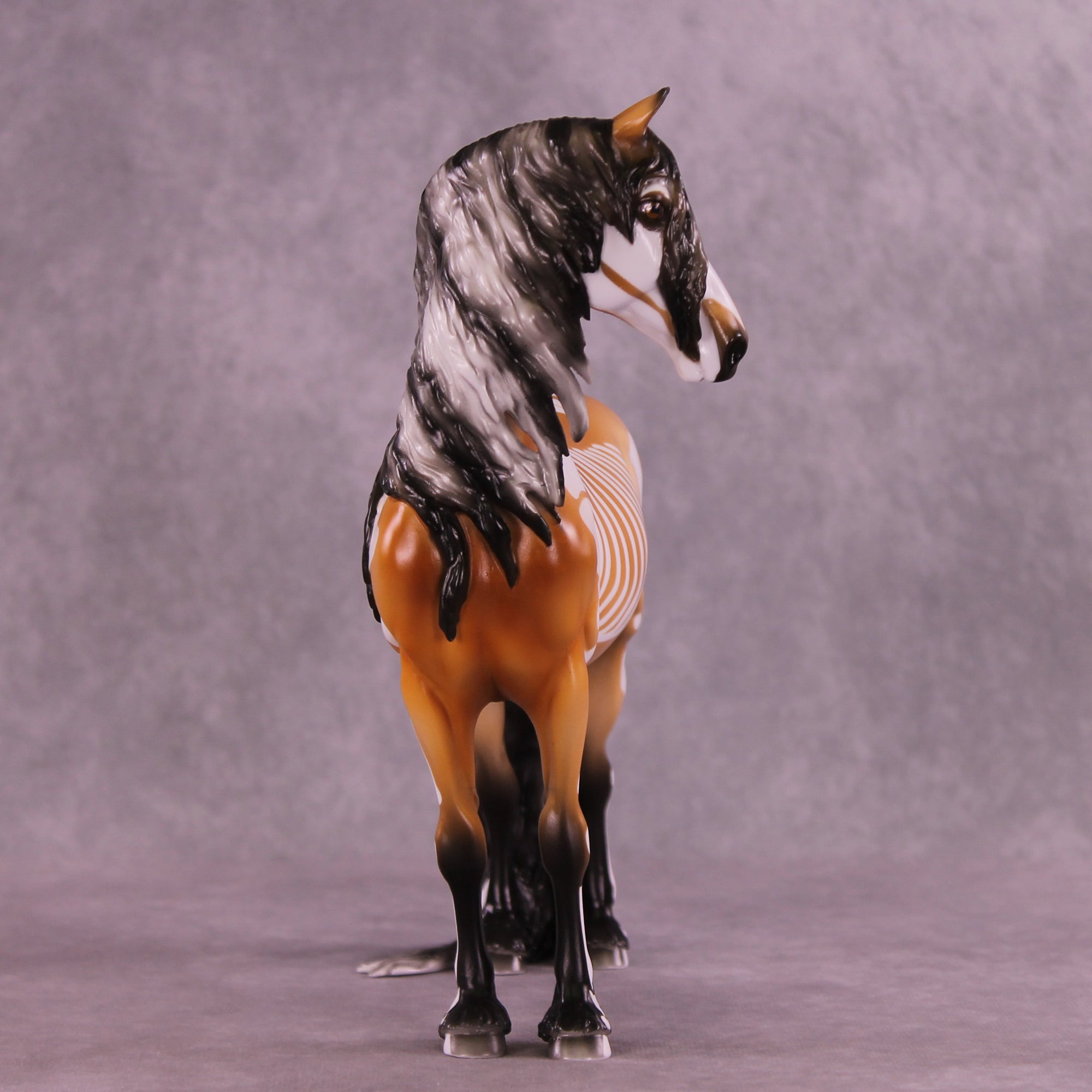 Xanthippi EFCM Morgan by Pernille F. Bøllingtoft Bøjsen 11/25/2025 SS1125