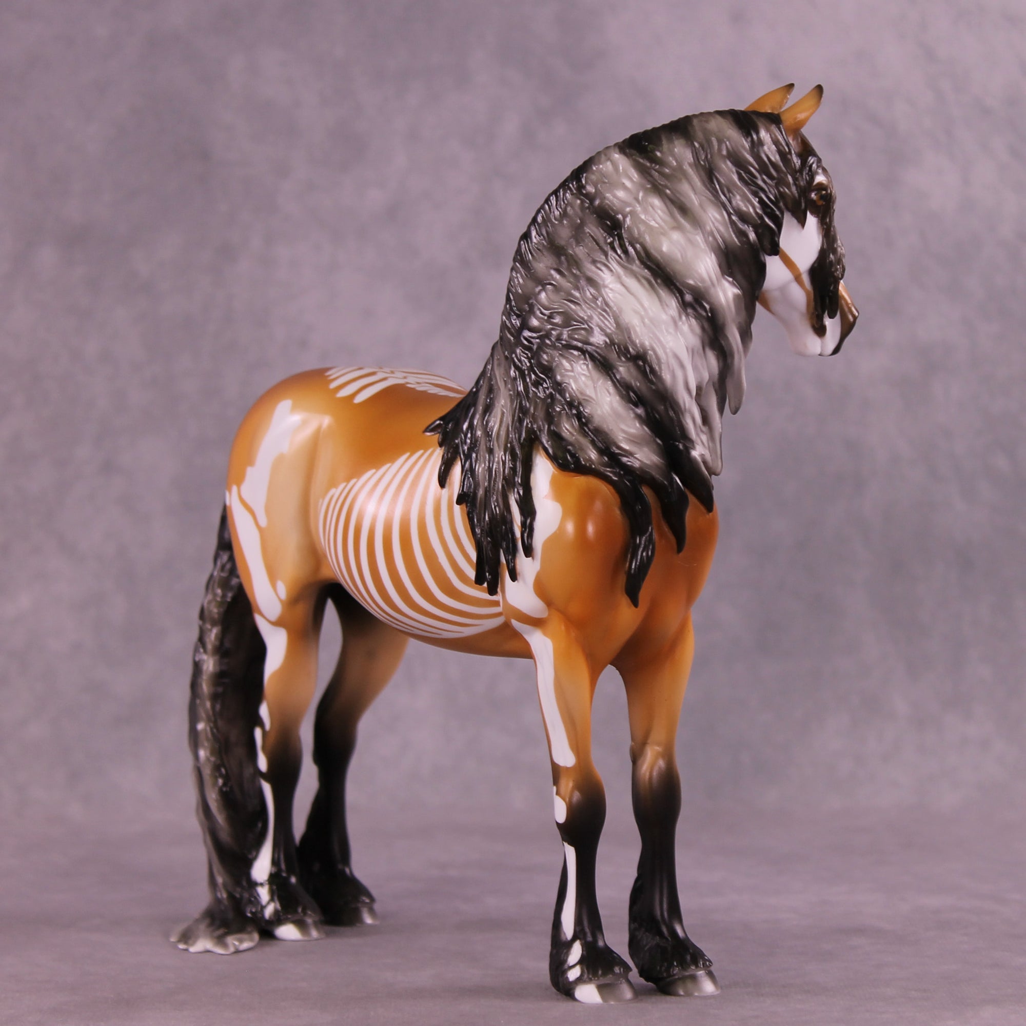 Xanthippi EFCM Morgan by Pernille F. Bøllingtoft Bøjsen 11/25/2025 SS1125