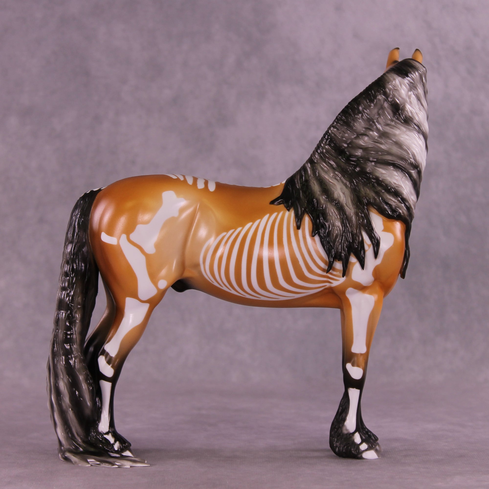 Xanthippi EFCM Morgan by Pernille F. Bøllingtoft Bøjsen 11/25/2025 SS1125