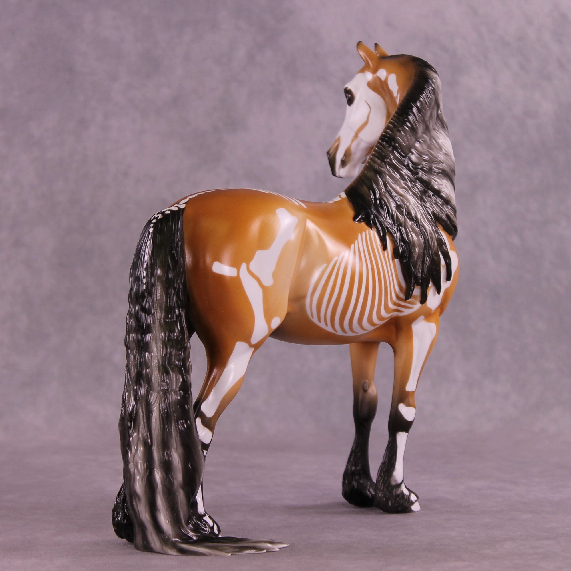 Xanthippi EFCM Morgan by Pernille F. Bøllingtoft Bøjsen 11/25/2025 SS1125