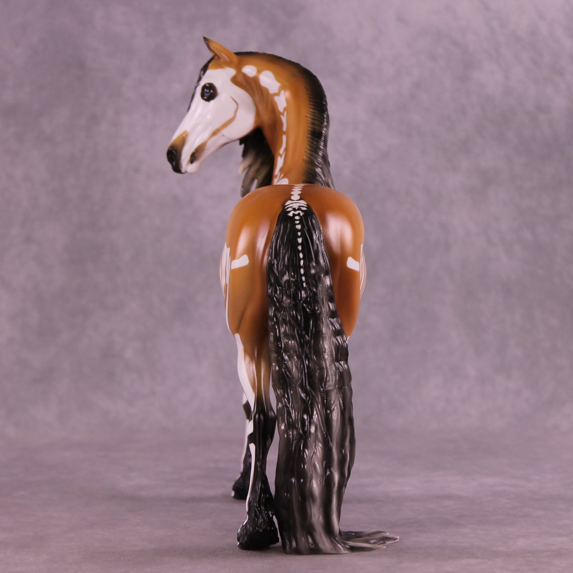 Xanthippi EFCM Morgan by Pernille F. Bøllingtoft Bøjsen 11/25/2025 SS1125