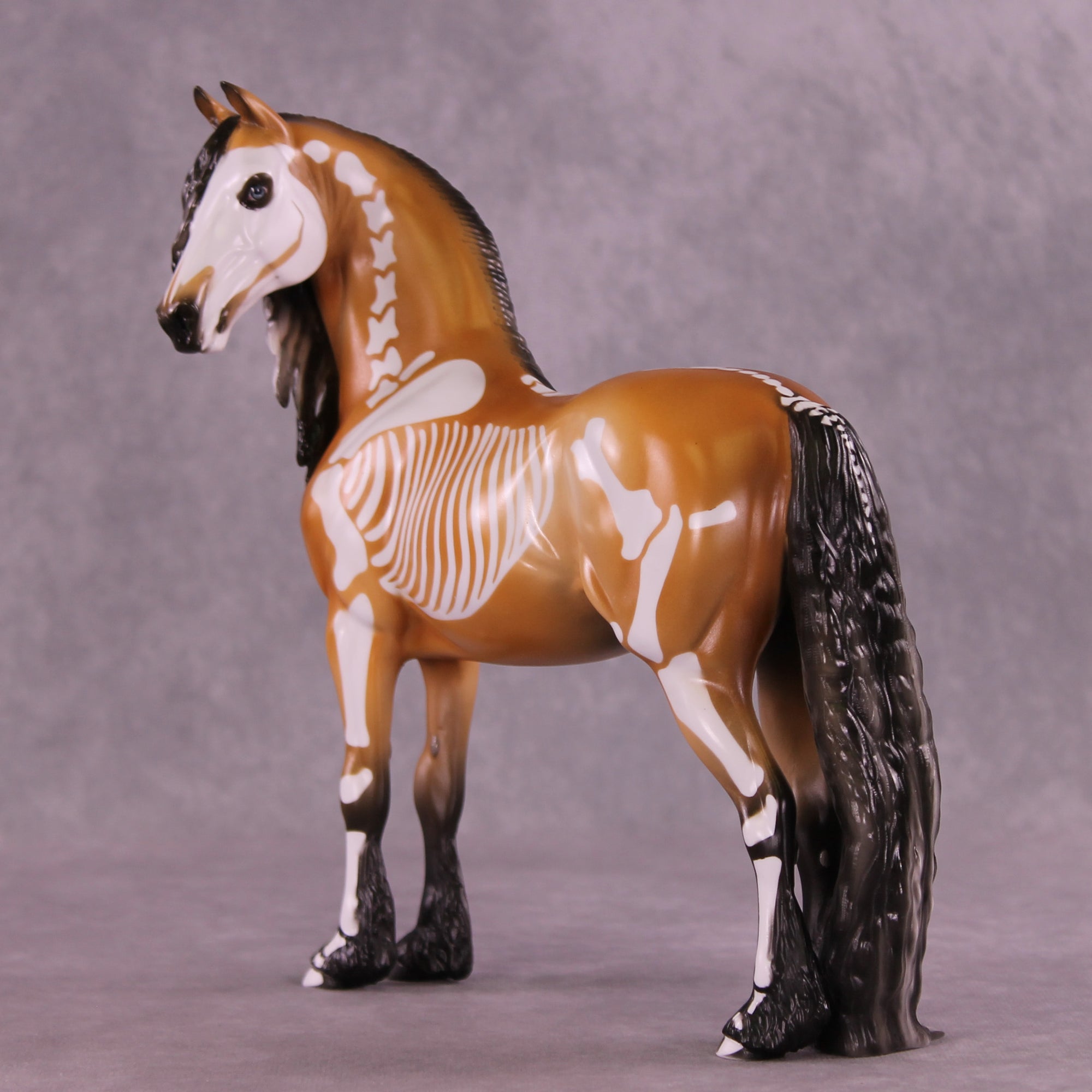 Xanthippi EFCM Morgan by Pernille F. Bøllingtoft Bøjsen 11/25/2025 SS1125