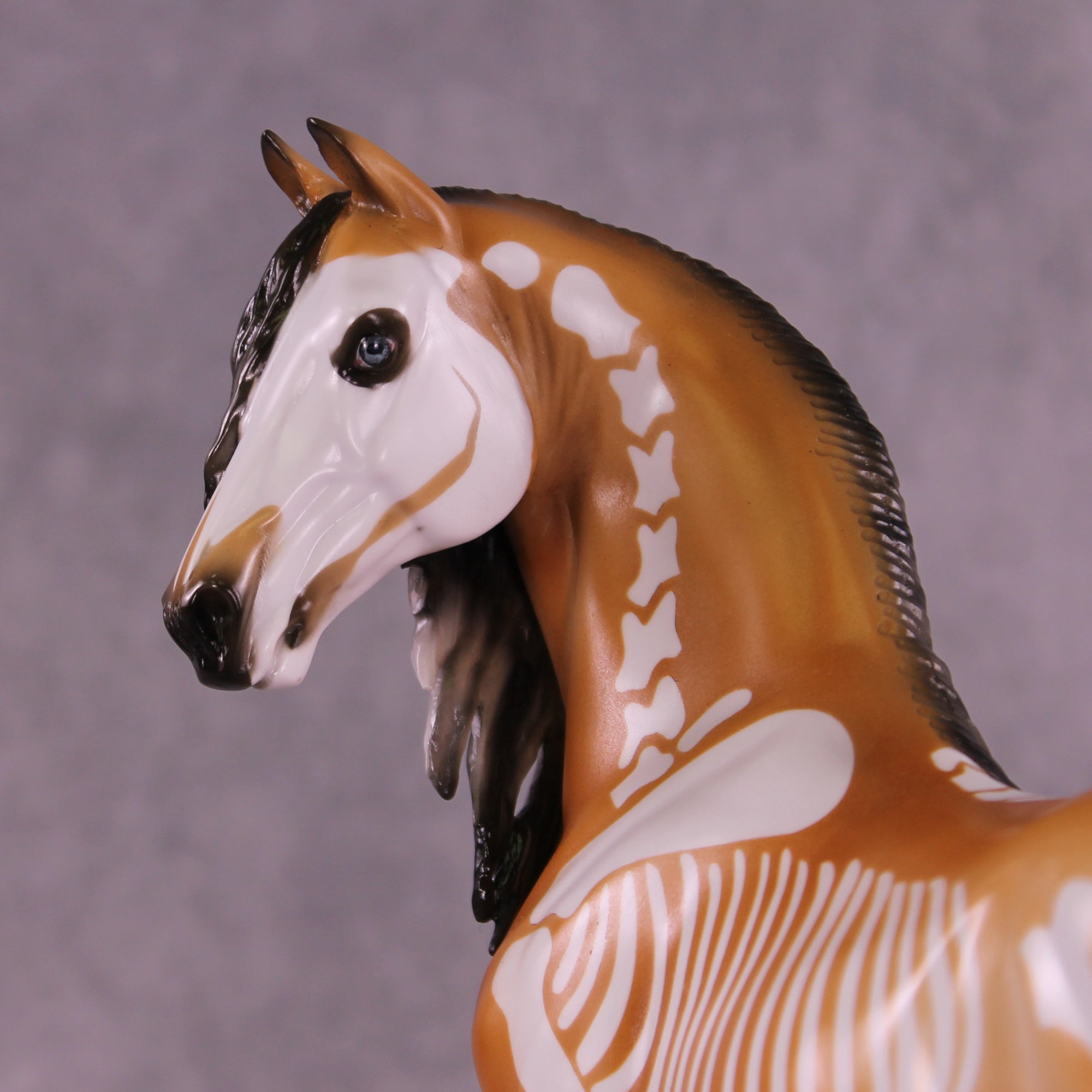 Xanthippi EFCM Morgan by Pernille F. Bøllingtoft Bøjsen 11/25/2025 SS1125