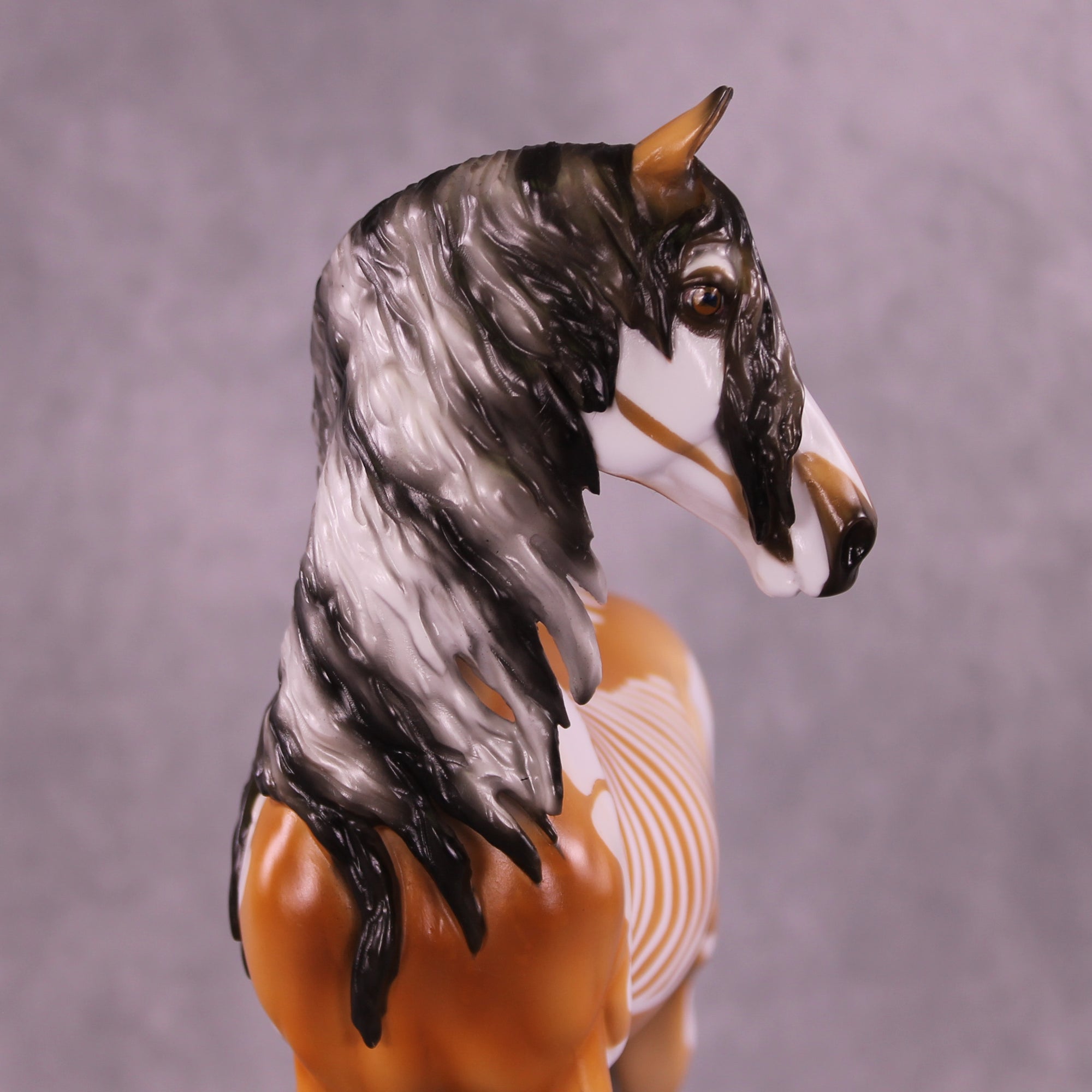 Xanthippi EFCM Morgan by Pernille F. Bøllingtoft Bøjsen 11/25/2025 SS1125