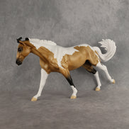Xavier OOAK FCM Remington by Alex Fortman DDOOAKs26