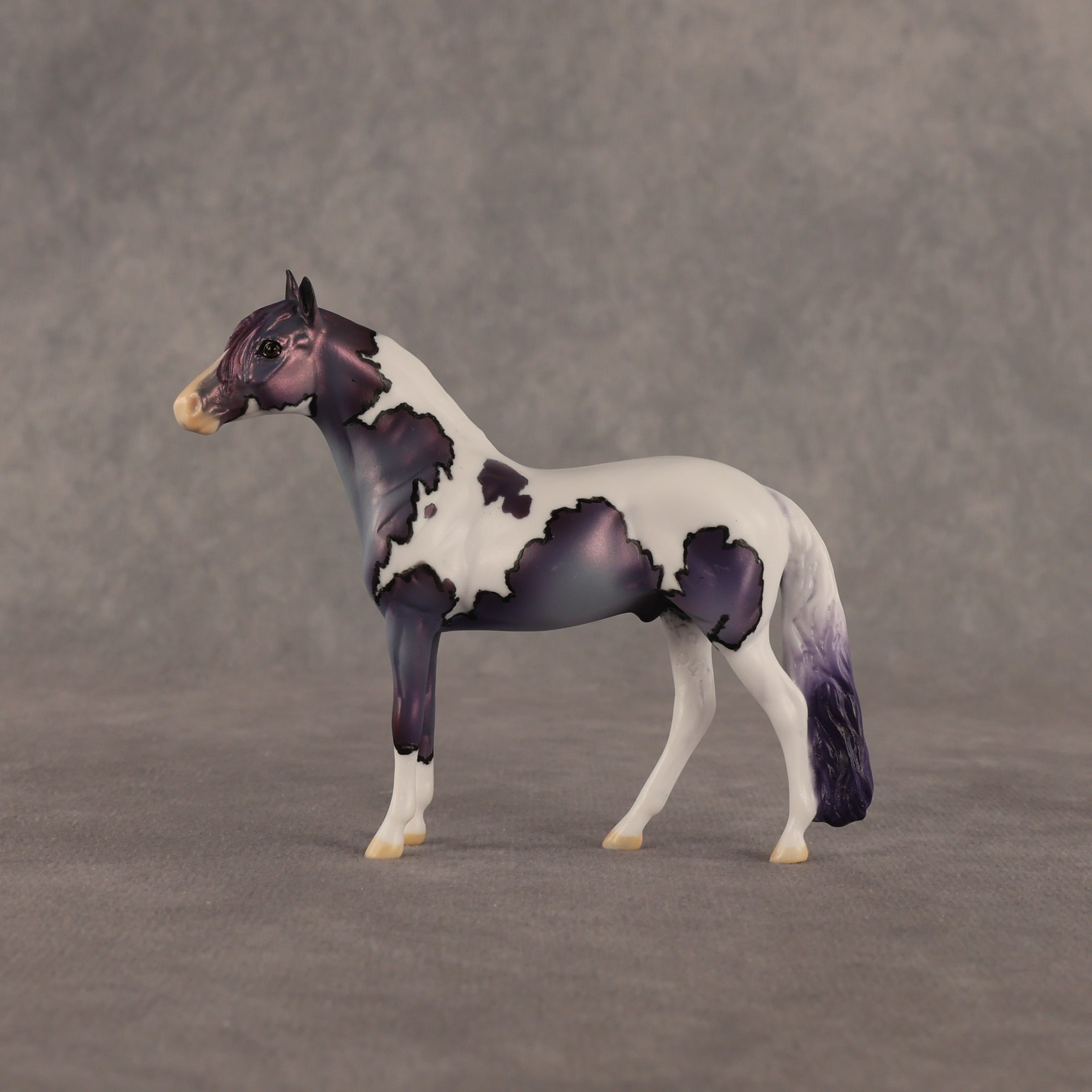 Yankee Doodle Flockie OOAK Chip Andalusian by Dawn Quick EQ26