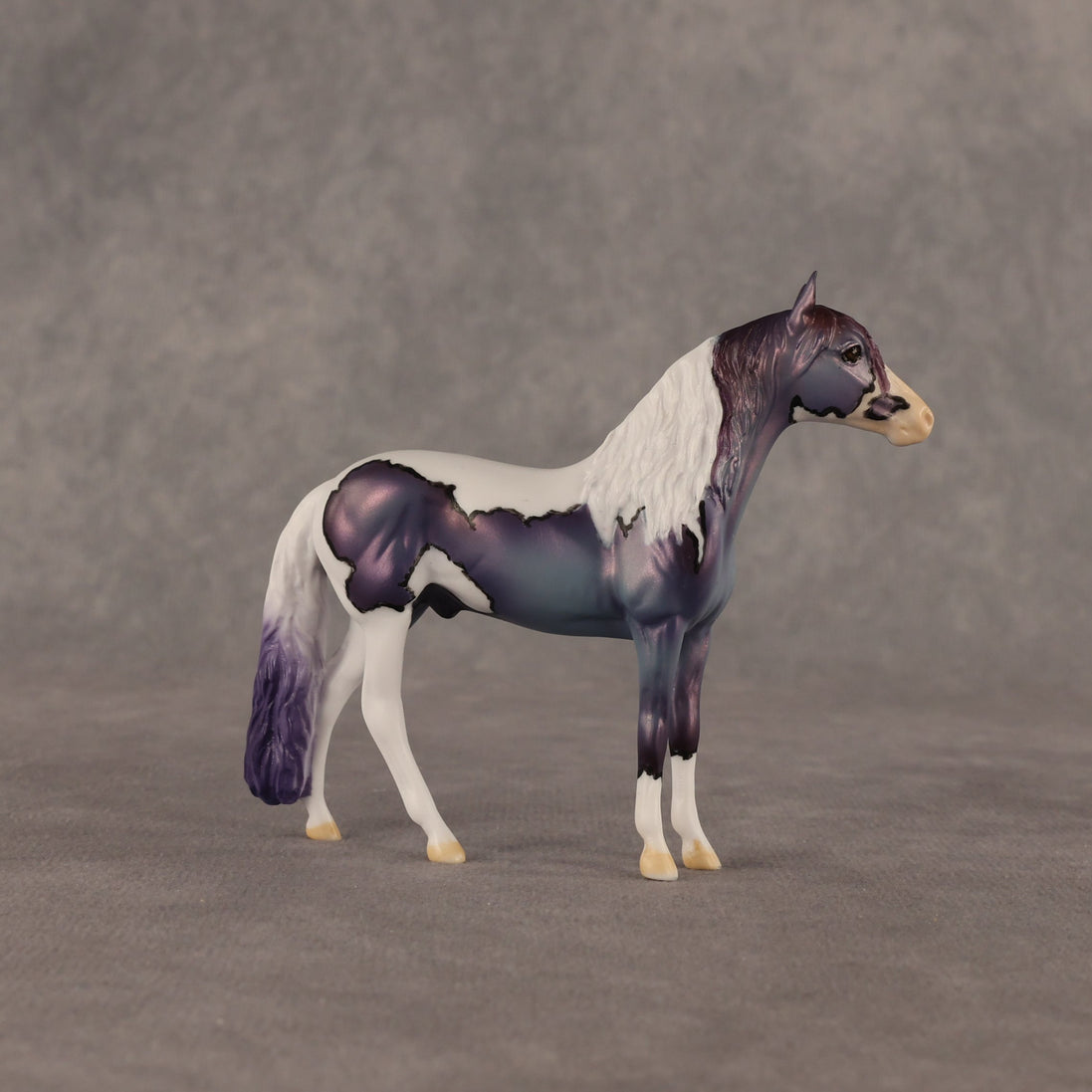 Yankee Doodle Flockie OOAK Chip Andalusian by Dawn Quick EQ26