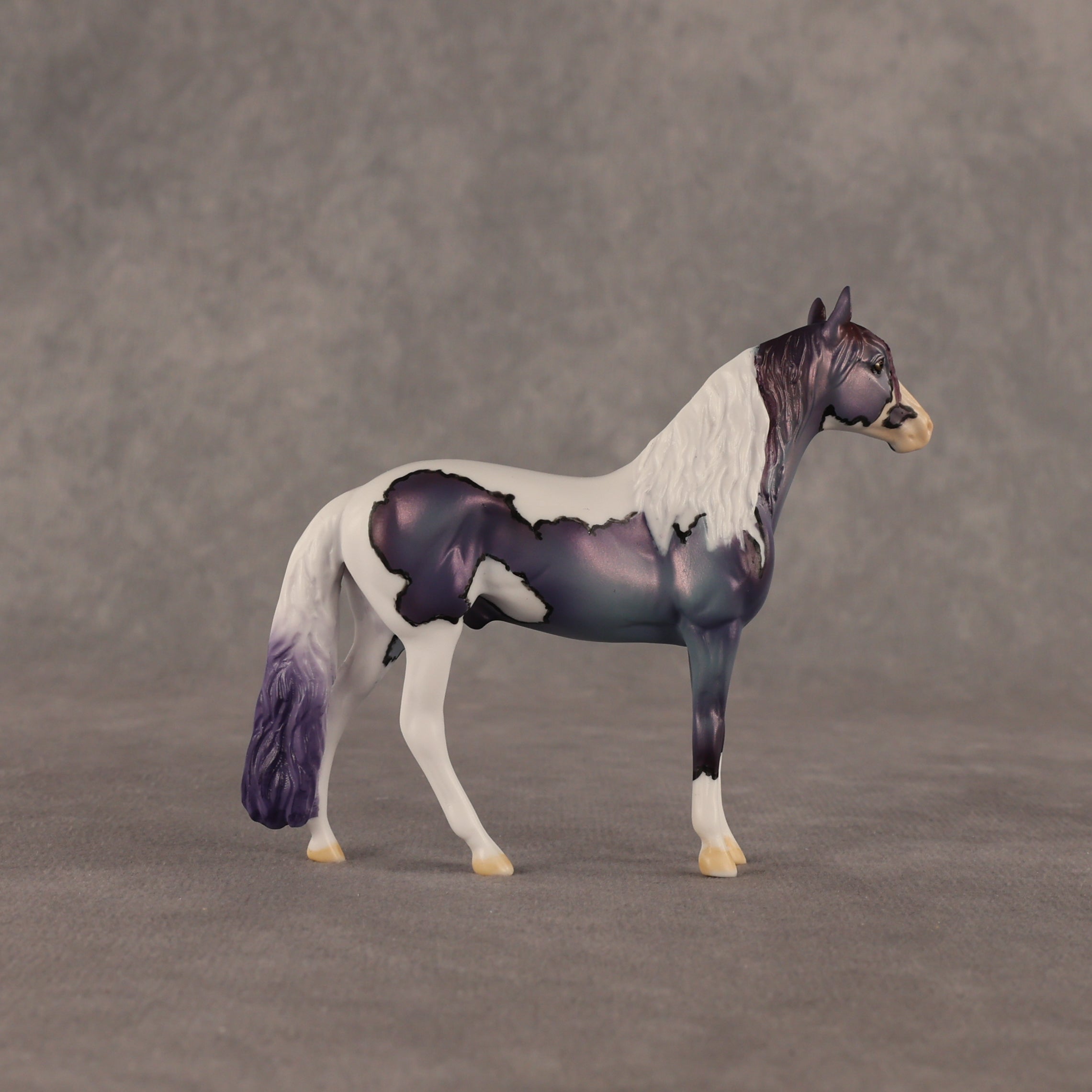 Yankee Doodle Flockie OOAK Chip Andalusian by Dawn Quick EQ26