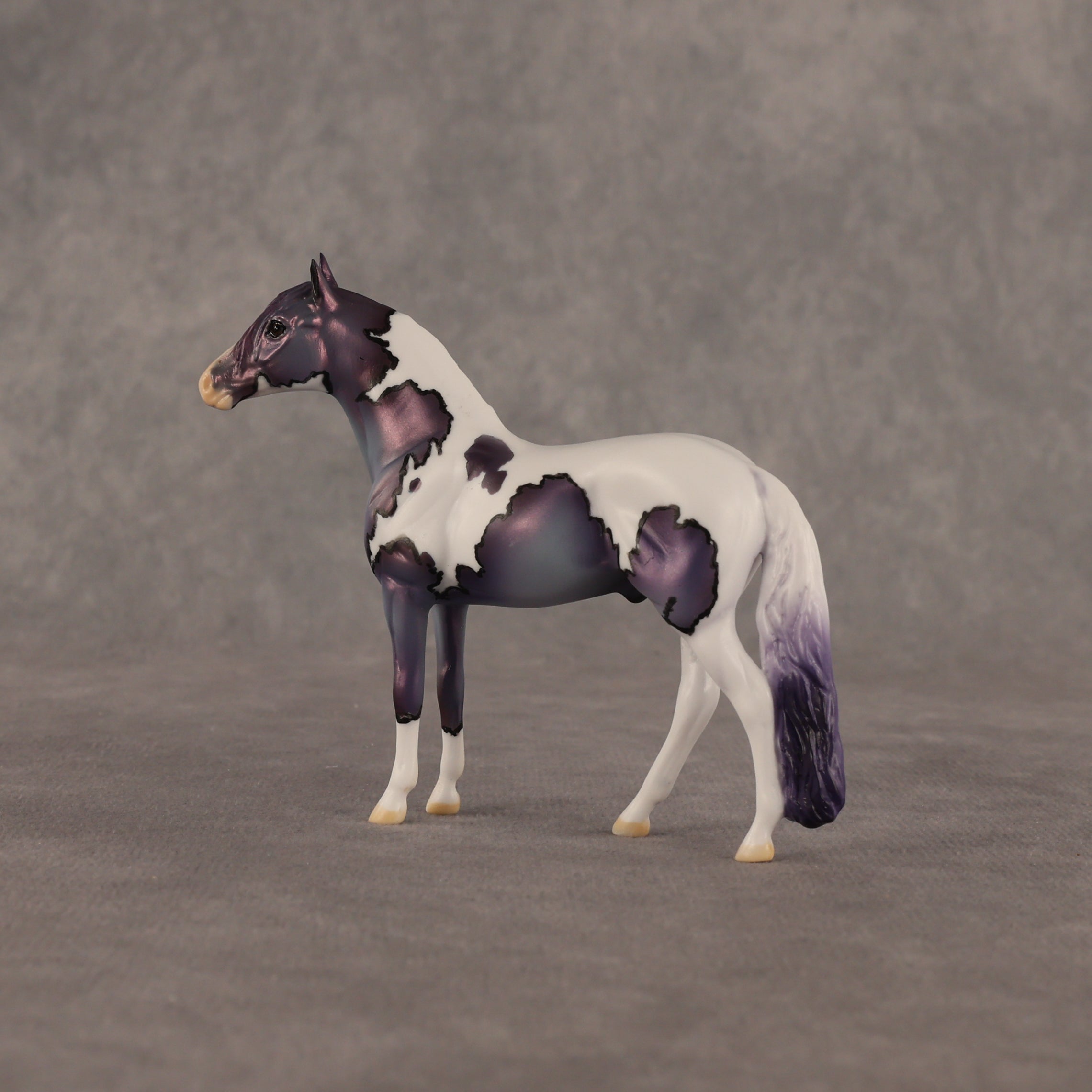 Yankee Doodle Flockie OOAK Chip Andalusian by Dawn Quick EQ26