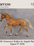 Yarrow OOAK Tennessee Walker by Angela Marleau DDOOAKs26