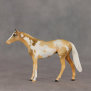 You Are My Sunshine OOAK Chip Thoroughbred  by Anna Rieck VV26