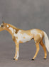 You Are My Sunshine OOAK Chip Thoroughbred  by Anna Rieck VV26