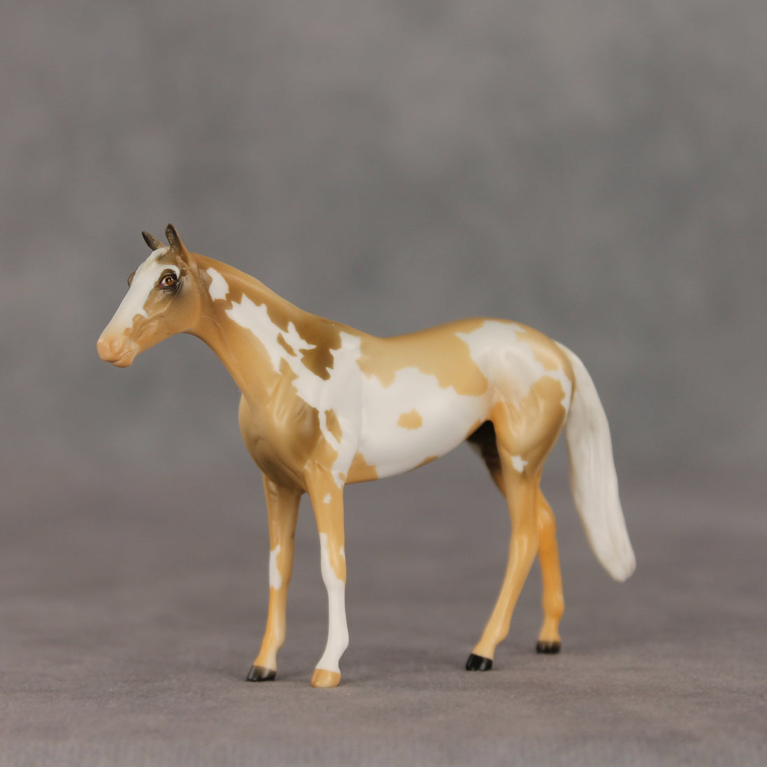 You Are My Sunshine OOAK Chip Thoroughbred  by Anna Rieck VV26