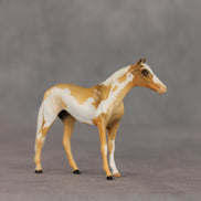 You Are My Sunshine OOAK Chip Thoroughbred  by Anna Rieck VV26