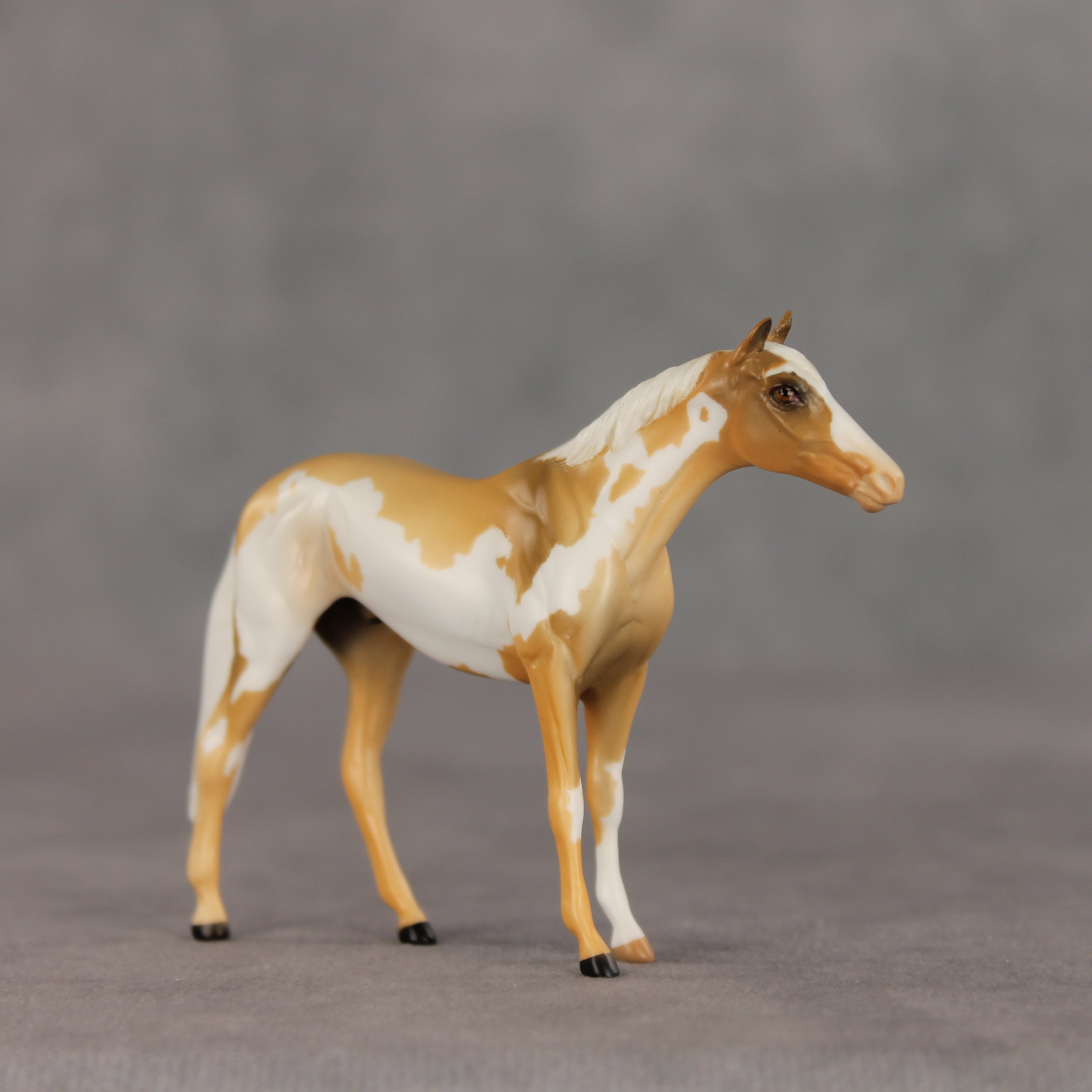 You Are My Sunshine OOAK Chip Thoroughbred  by Anna Rieck VV26