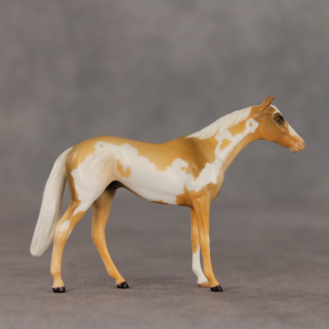 You Are My Sunshine OOAK Chip Thoroughbred  by Anna Rieck VV26