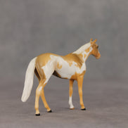 You Are My Sunshine OOAK Chip Thoroughbred  by Anna Rieck VV26