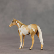 You Are My Sunshine OOAK Chip Thoroughbred  by Anna Rieck VV26