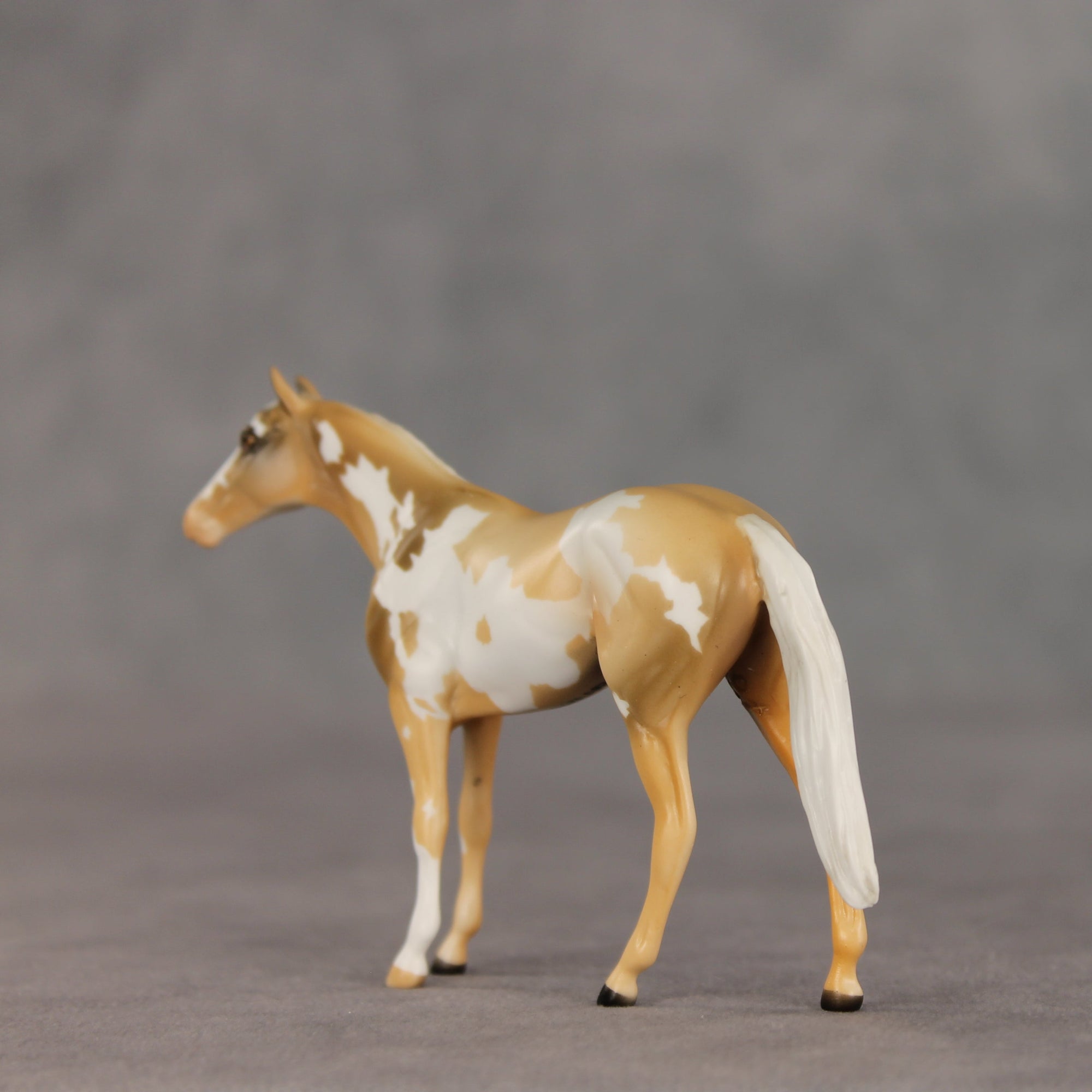 You Are My Sunshine OOAK Chip Thoroughbred  by Anna Rieck VV26