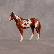 You're Very Picky OOAK Chip Stock Horse by Alex Fortman LHS26