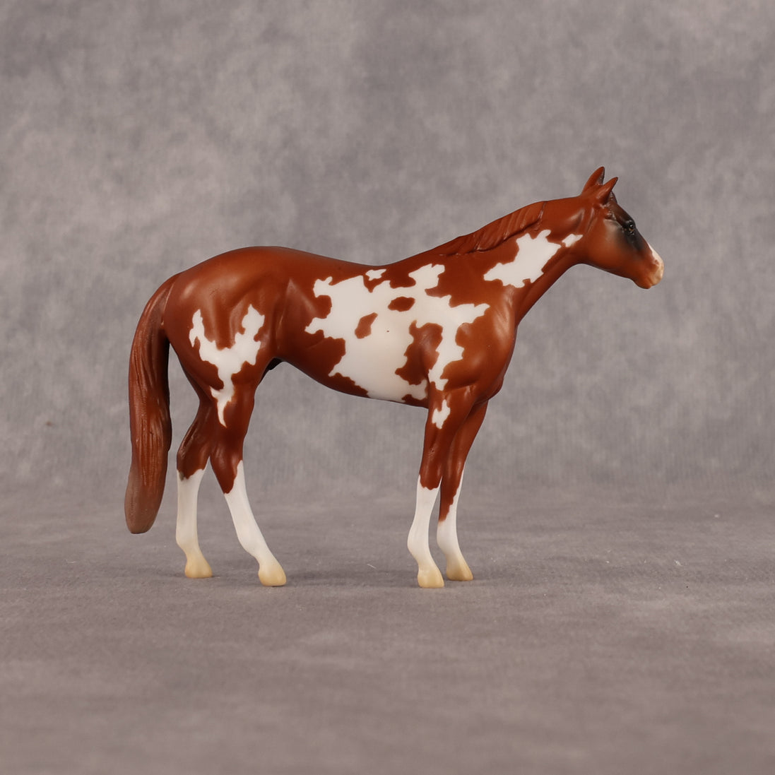 You're Very Picky OOAK Chip Stock Horse by Alex Fortman LHS26