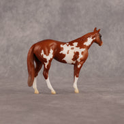 You're Very Picky OOAK Chip Stock Horse by Alex Fortman LHS26