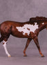 Zazzle OOAK Large Mule by Jess Hamill MM25 Group C