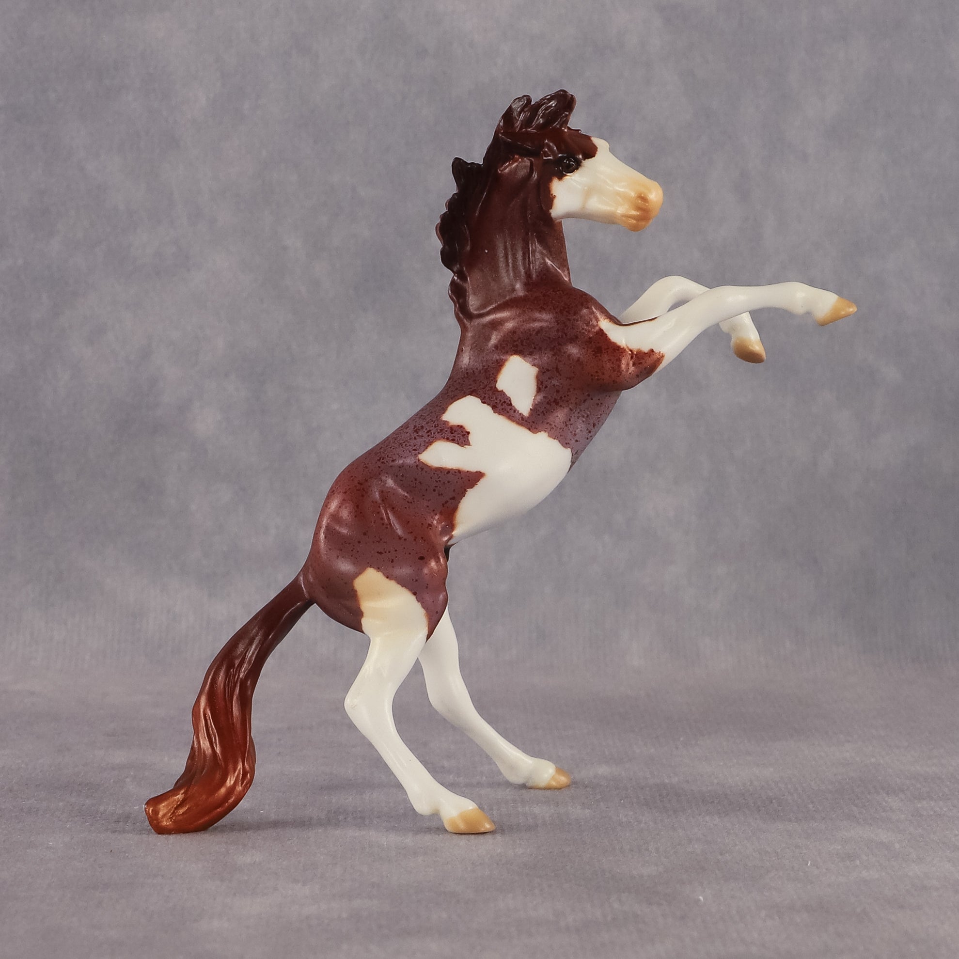 Zeus OOAK Chip Mustang by Anna Rieck EQ26