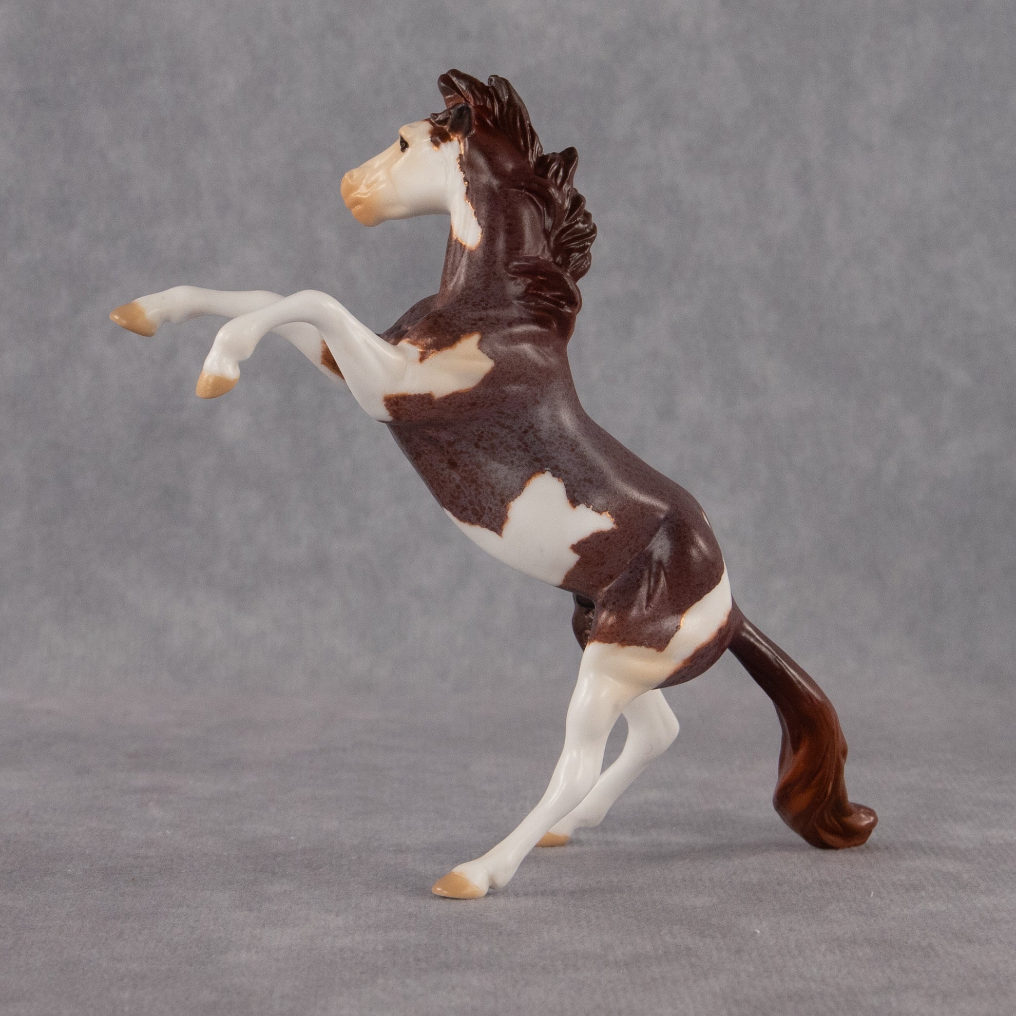 Zeus OOAK Chip Mustang by Anna Rieck EQ26