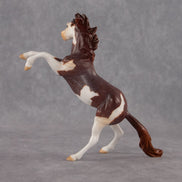 Zeus OOAK Chip Mustang by Anna Rieck EQ26