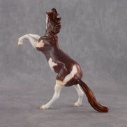 Zeus OOAK Chip Mustang by Anna Rieck EQ26