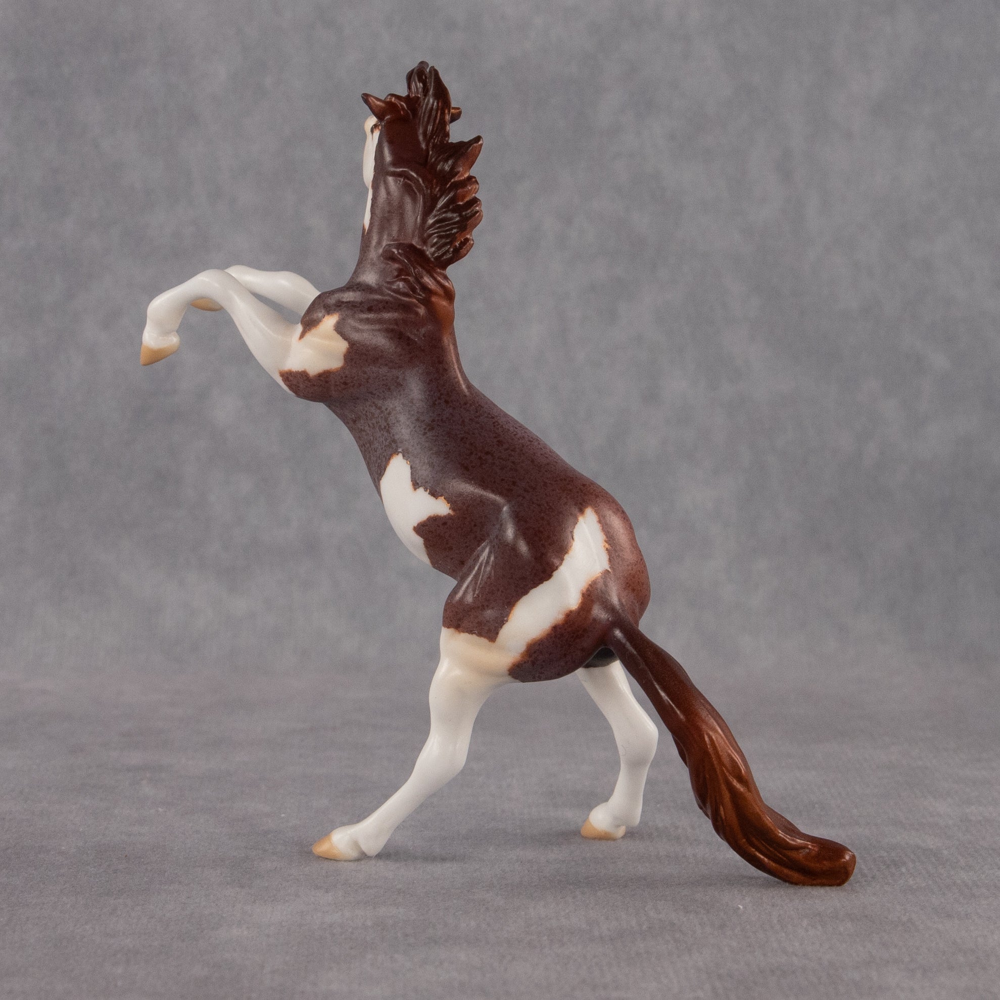 Zeus OOAK Chip Mustang by Anna Rieck EQ26