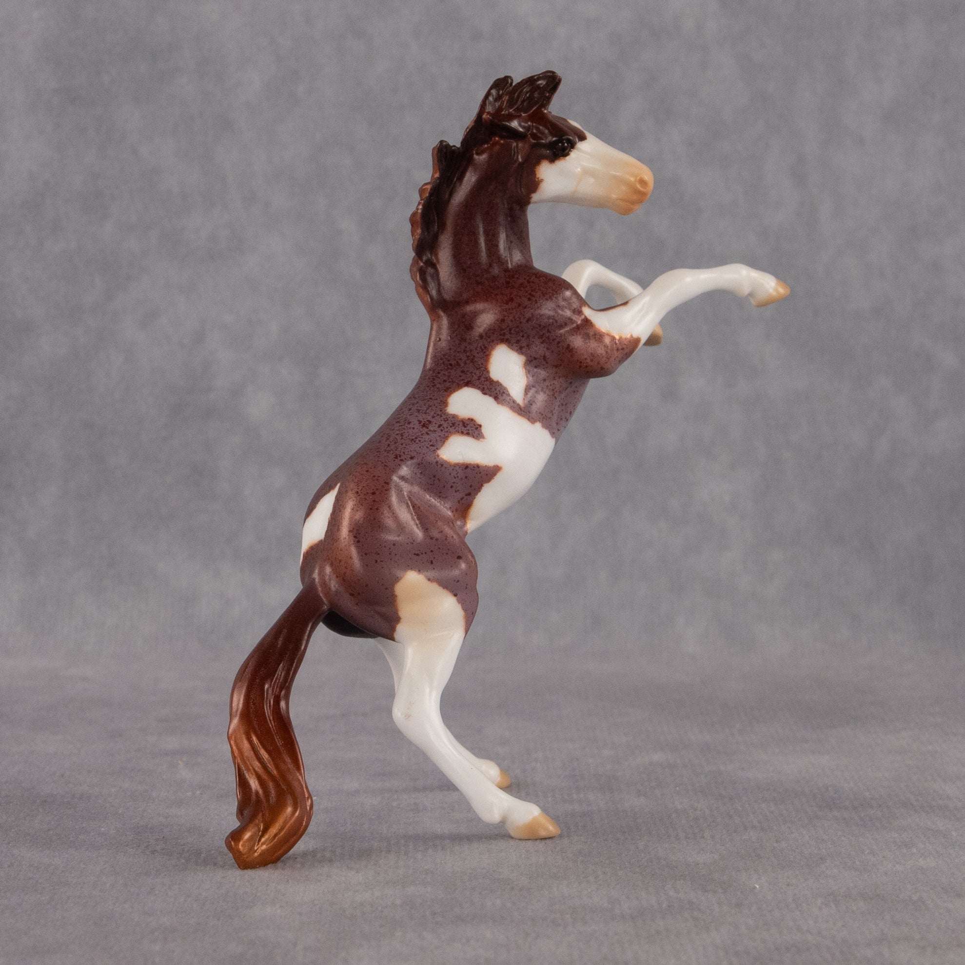 Zeus OOAK Chip Mustang by Anna Rieck EQ26