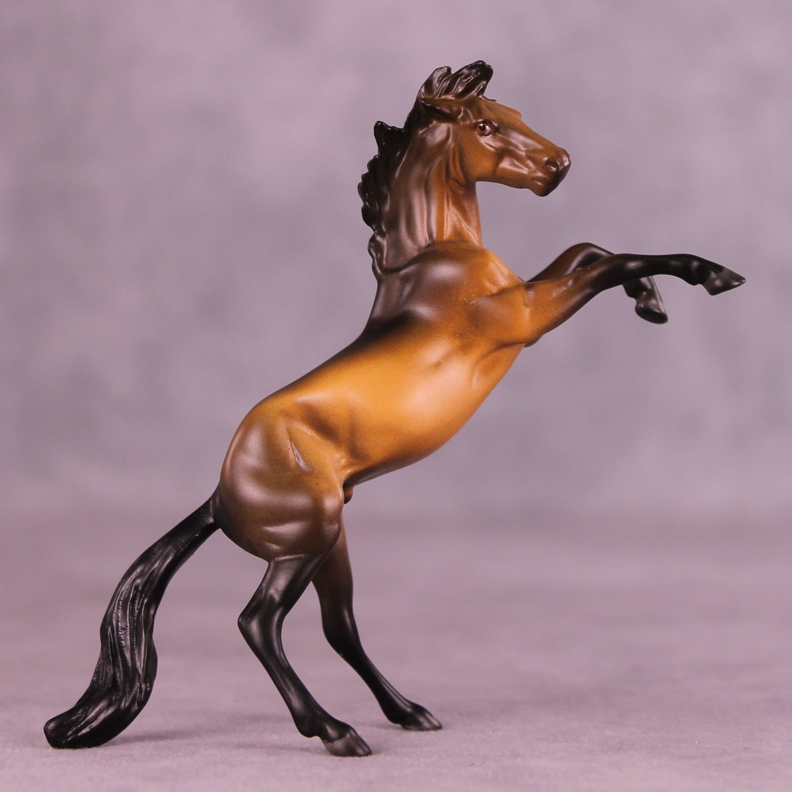 Zumba OOAK Chip Mustang by Anna Rieck MM25 Group D