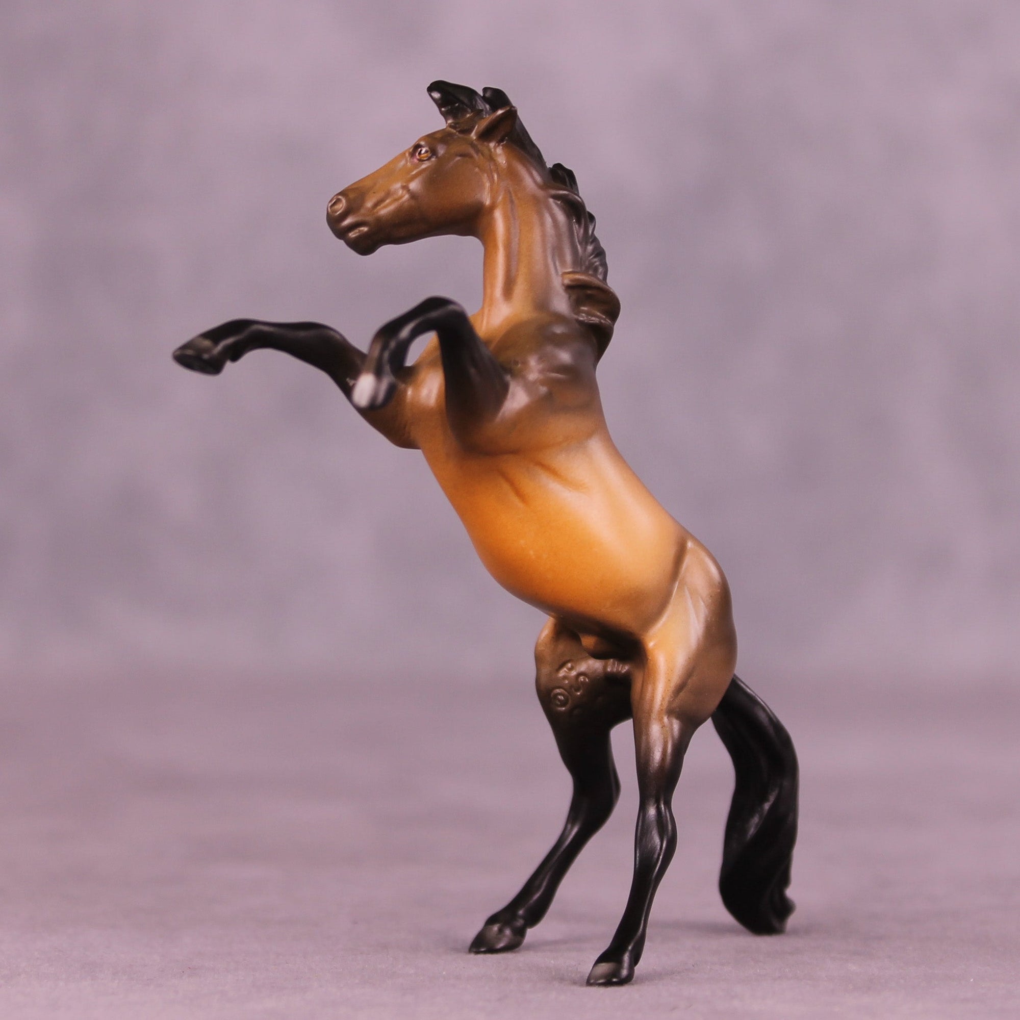 Zumba OOAK Chip Mustang by Anna Rieck MM25 Group D