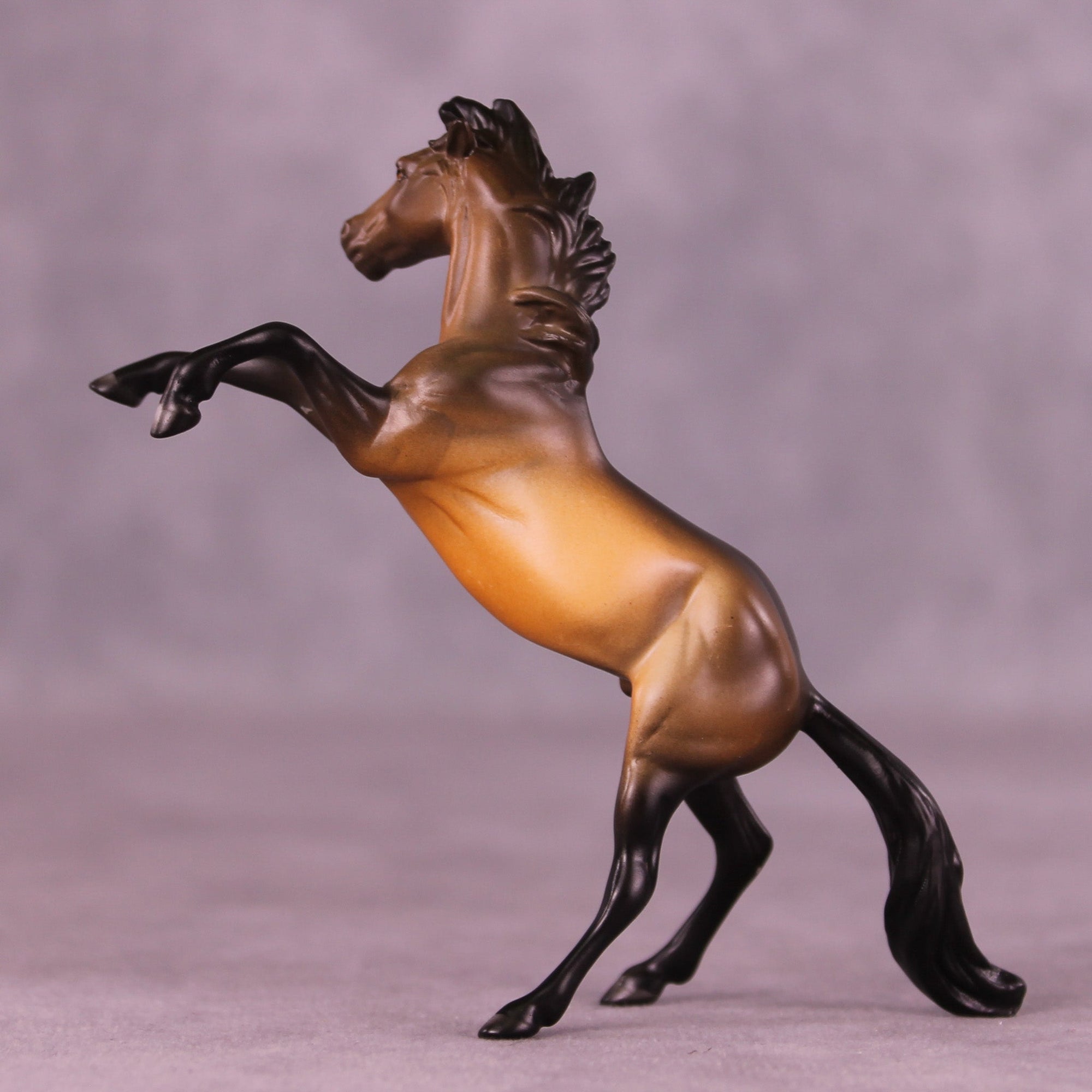 Zumba OOAK Chip Mustang by Anna Rieck MM25 Group D