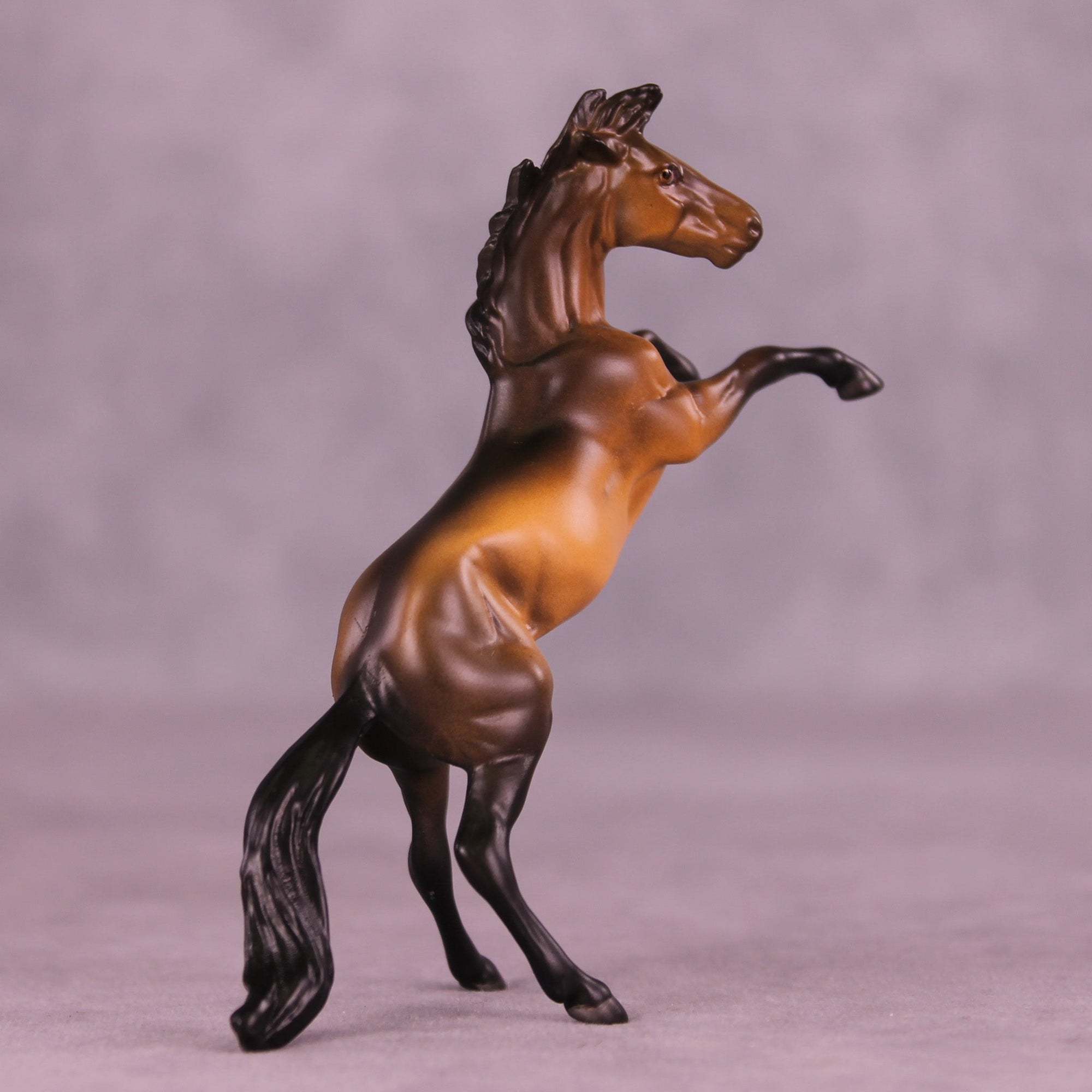 Zumba OOAK Chip Mustang by Anna Rieck MM25 Group D