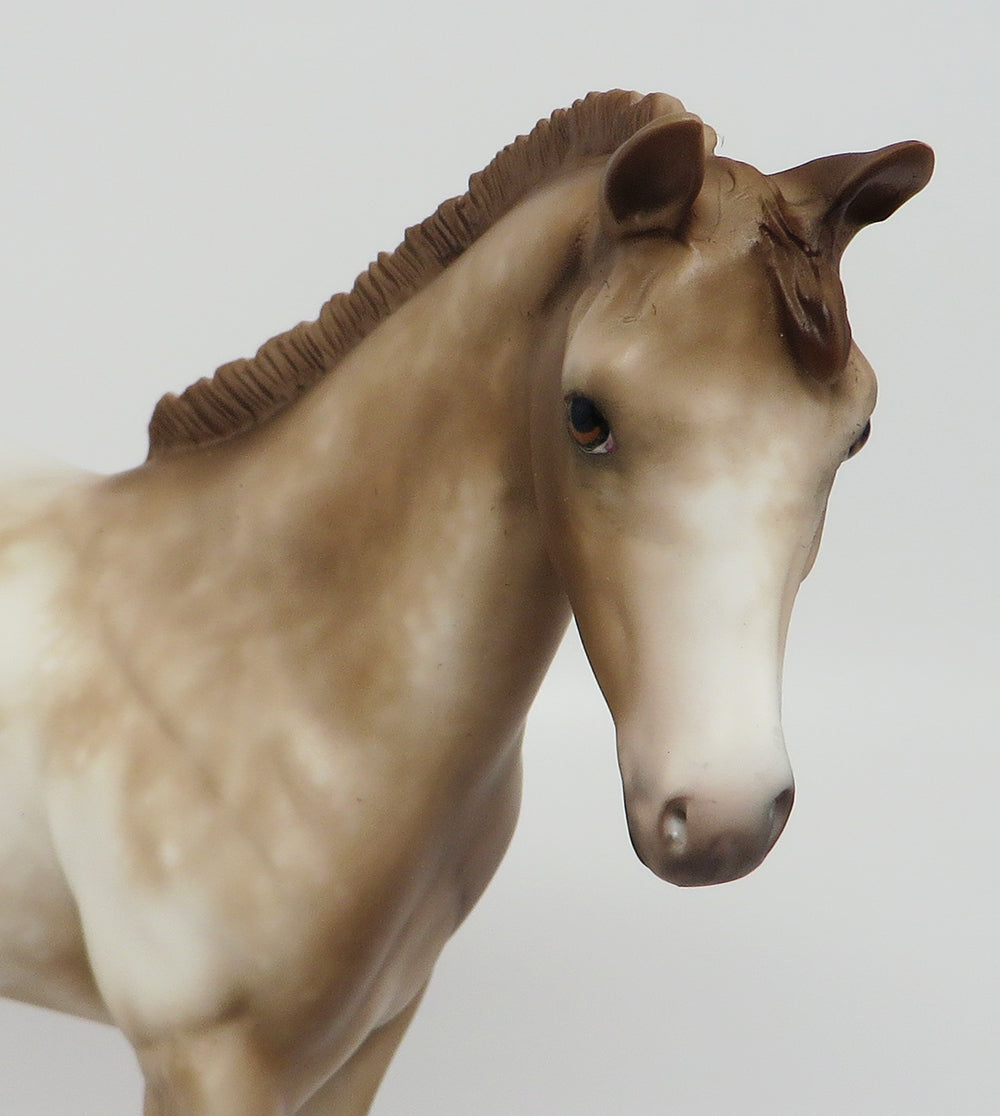 SKETCHER&#39;S-OOAK CHESTNUT APPALOOSA WEANLING BY SHERYL LEISURE 4/3