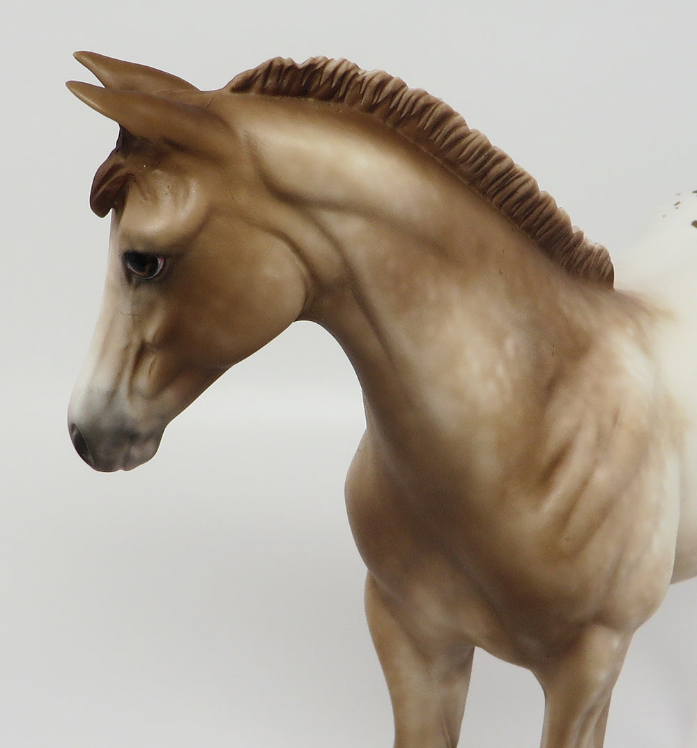 SKETCHER&#39;S-OOAK CHESTNUT APPALOOSA WEANLING BY SHERYL LEISURE 4/3