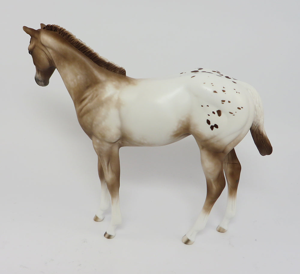 SKETCHER&#39;S-OOAK CHESTNUT APPALOOSA WEANLING BY SHERYL LEISURE 4/3