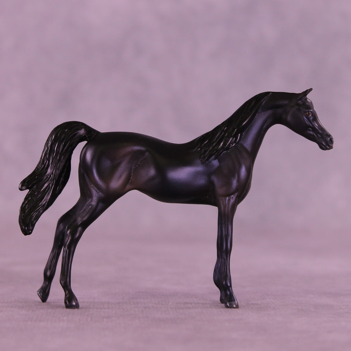 Abigail OOAK FCM Chip Arabian by Kristen Cermele GS26