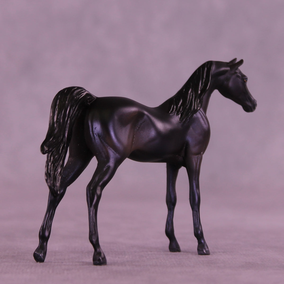Abigail OOAK FCM Chip Arabian by Kristen Cermele GS26