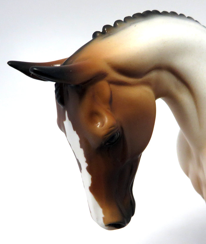 LIGHTFOOT-LE-5 BAY APPALOOSA ENGLIGH PONY MODEL HORSE WITH BRAIDED MANE &amp; TAIL ATOMIC LIVE