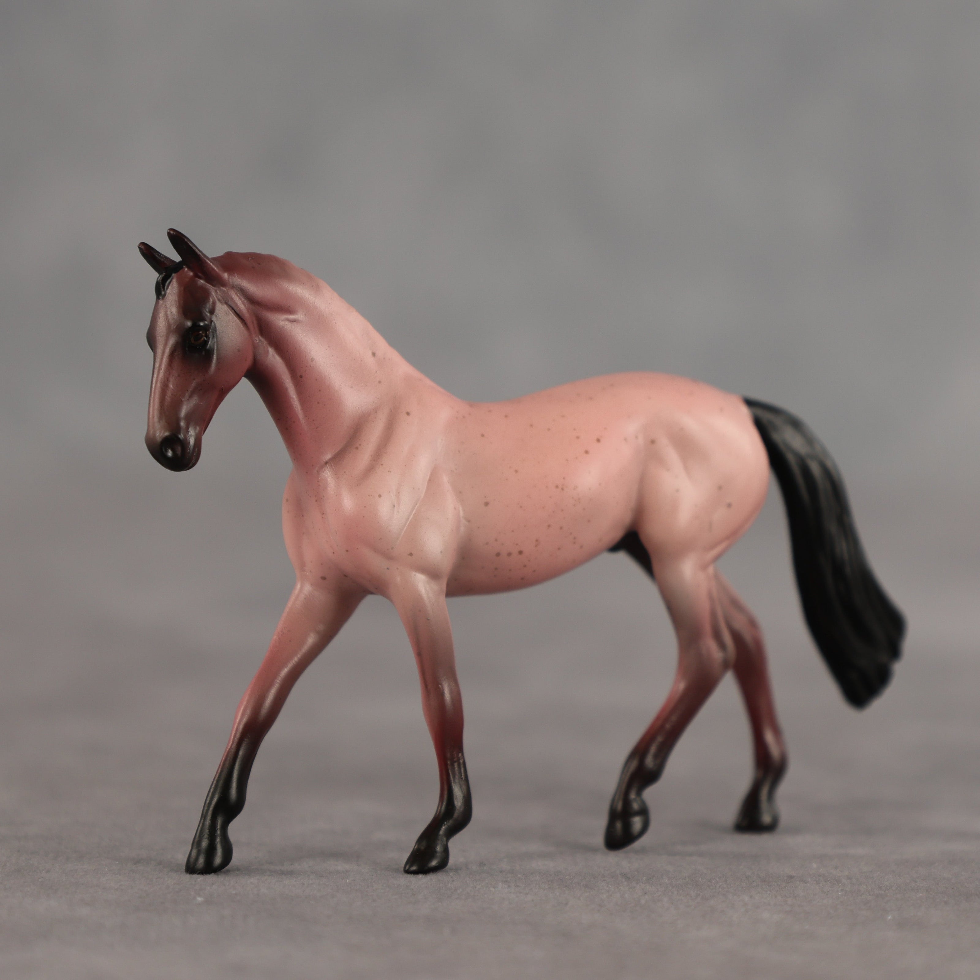 Adzuki OOAK Chip Warmblood by Alex Fortman SCD26